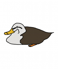 おさかな