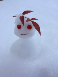 サトマリ