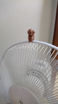大雨