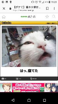 さなぎ