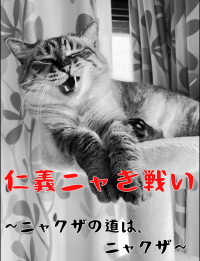 シンディ