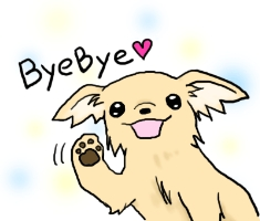 うさちゃん