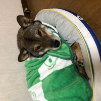 じょん