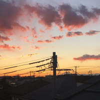 空飛ぶペンギン