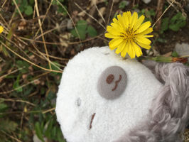 いと