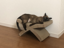 ちーやん