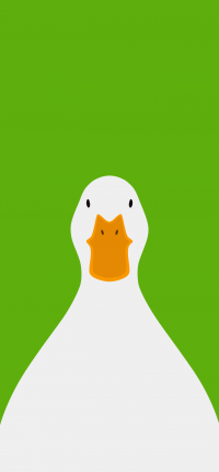 山鳥