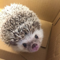 ミツル