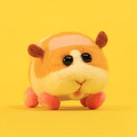 湯たんぽ