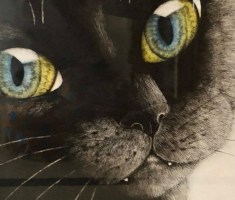黒猫