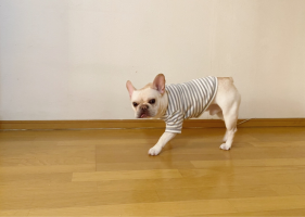 むぎたむぎお