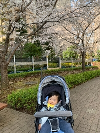 まゆみ