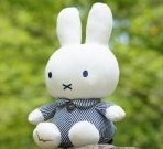 みっふぃー