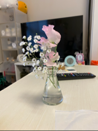 ひなぽこ