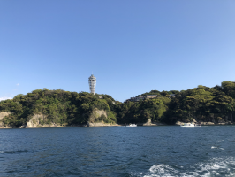 みかん