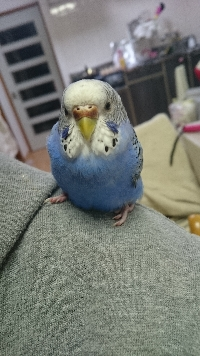 そらちゃん