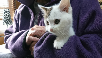 ふーちゃん