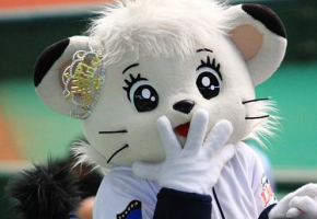 ヅカライナ