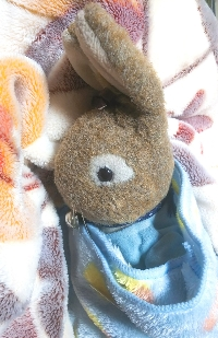 かぼちゃうさぎ。