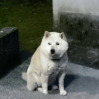 とと