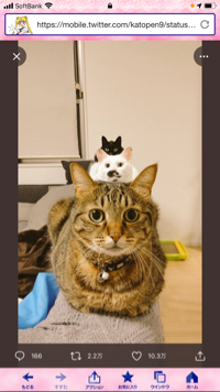 も