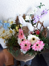 まーみ