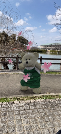 みよこ
