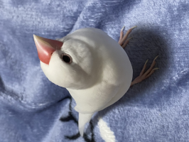 もか