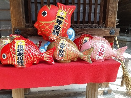 わお