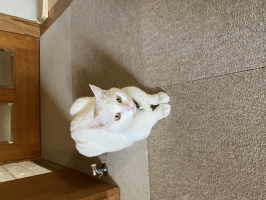 くぅ