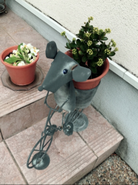 ツルツル
