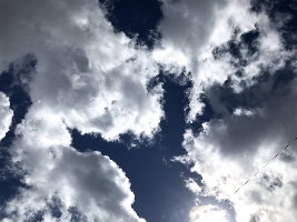 えことも