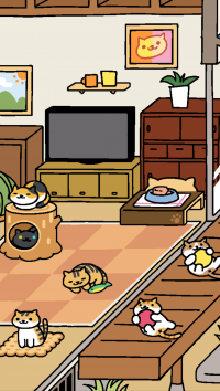ムジペタ