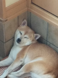 ＲＥＩＫＯ