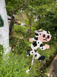 une
