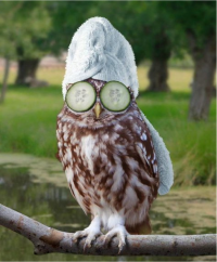 kiri