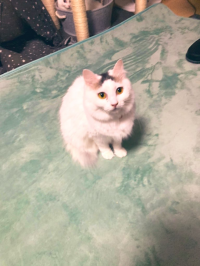 おむすび