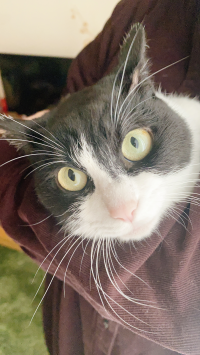 ユウナ