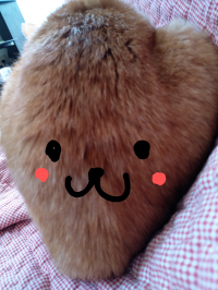 きたこ
