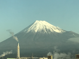 ボケモン