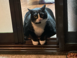 チ