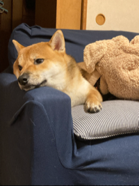 こてまま