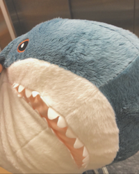 ゆ