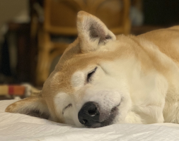 まりん
