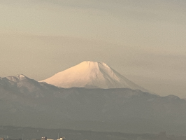ぴぃ