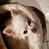 つん