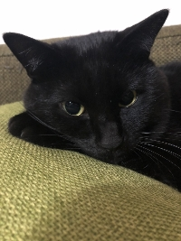 まっつん