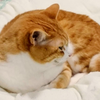 外川