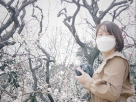 かつお