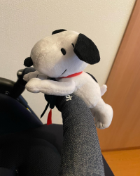 かおりんご